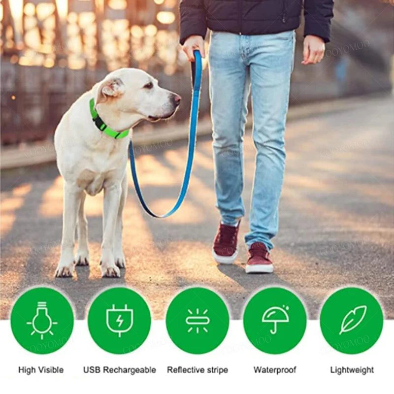 Peitoral LED de Segurança para Cães – Recarregável