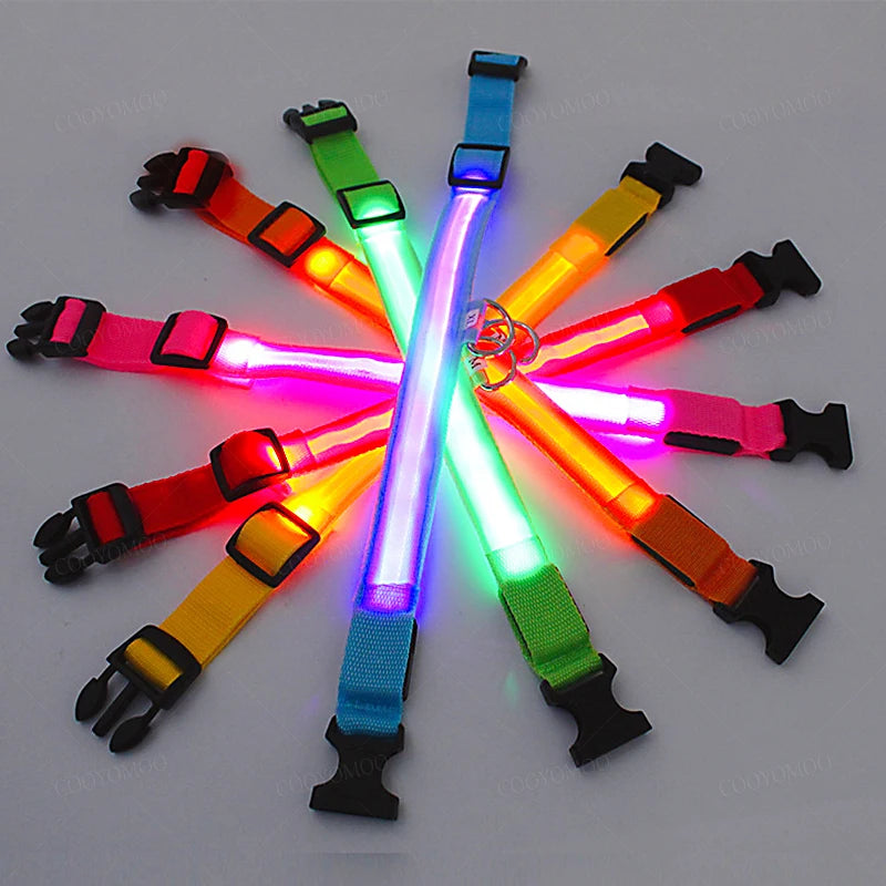 Peitoral LED de Segurança para Cães – Recarregável